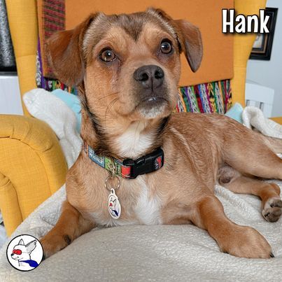 Hank 3