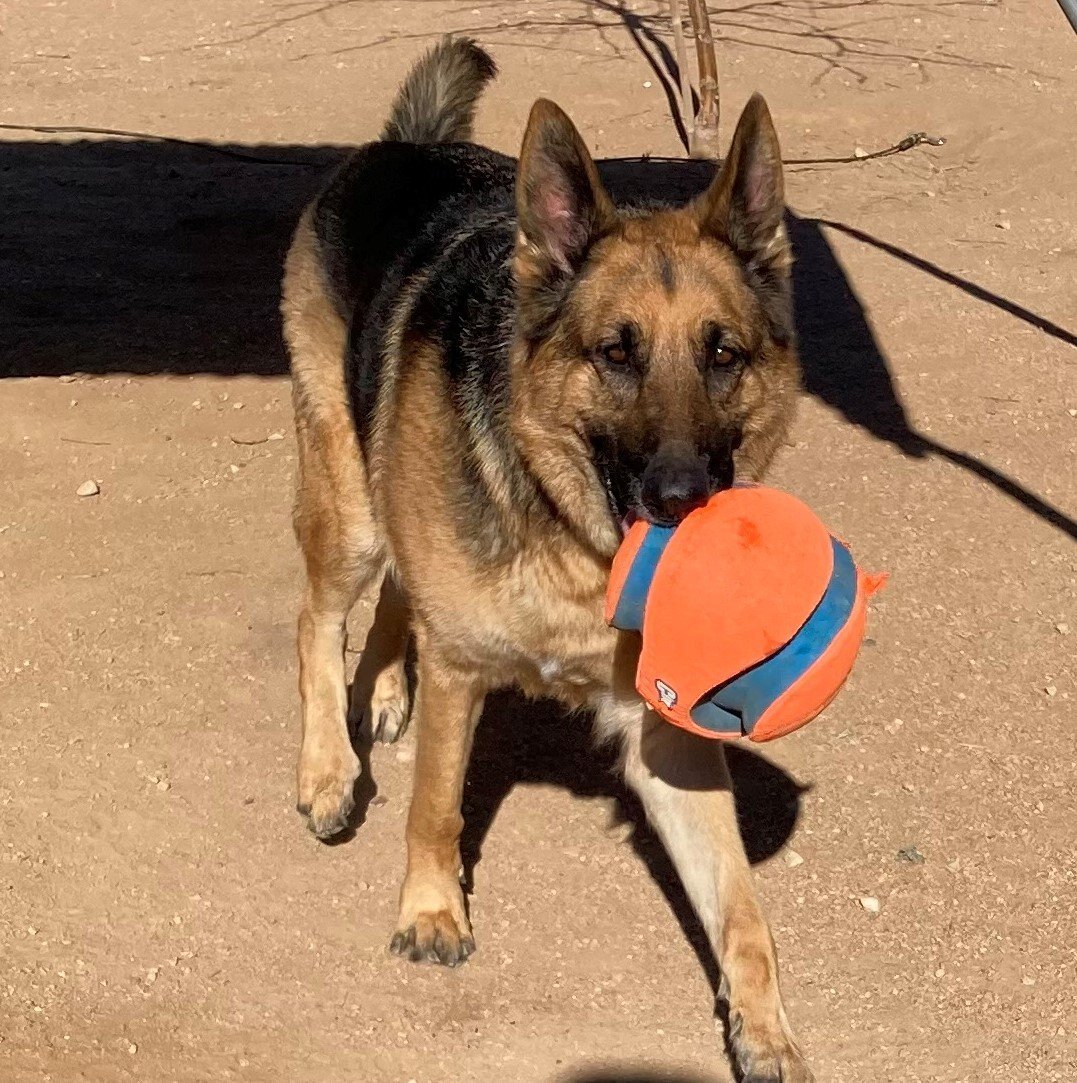 Captain & his ever-present ball...