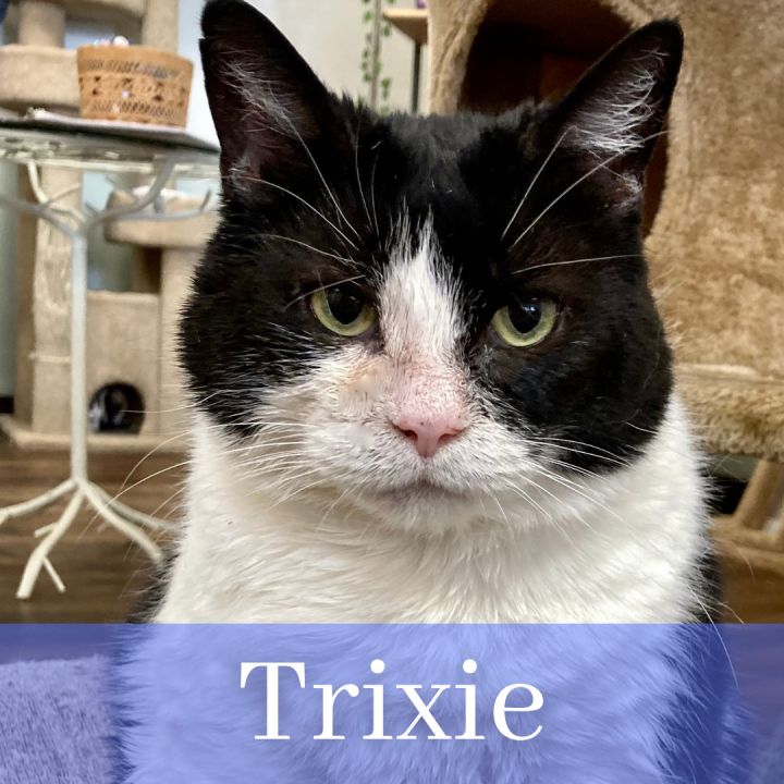 Trixie 2