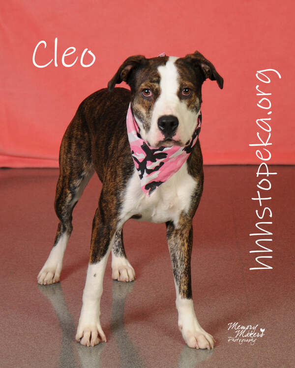 Cleo