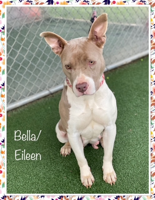 BELLA aka EILEEN - see video