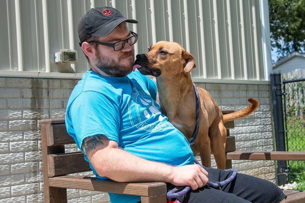 Dapper Dan, an adoptable Terrier in Terre Haute, IN, 47803 | Photo Image 3