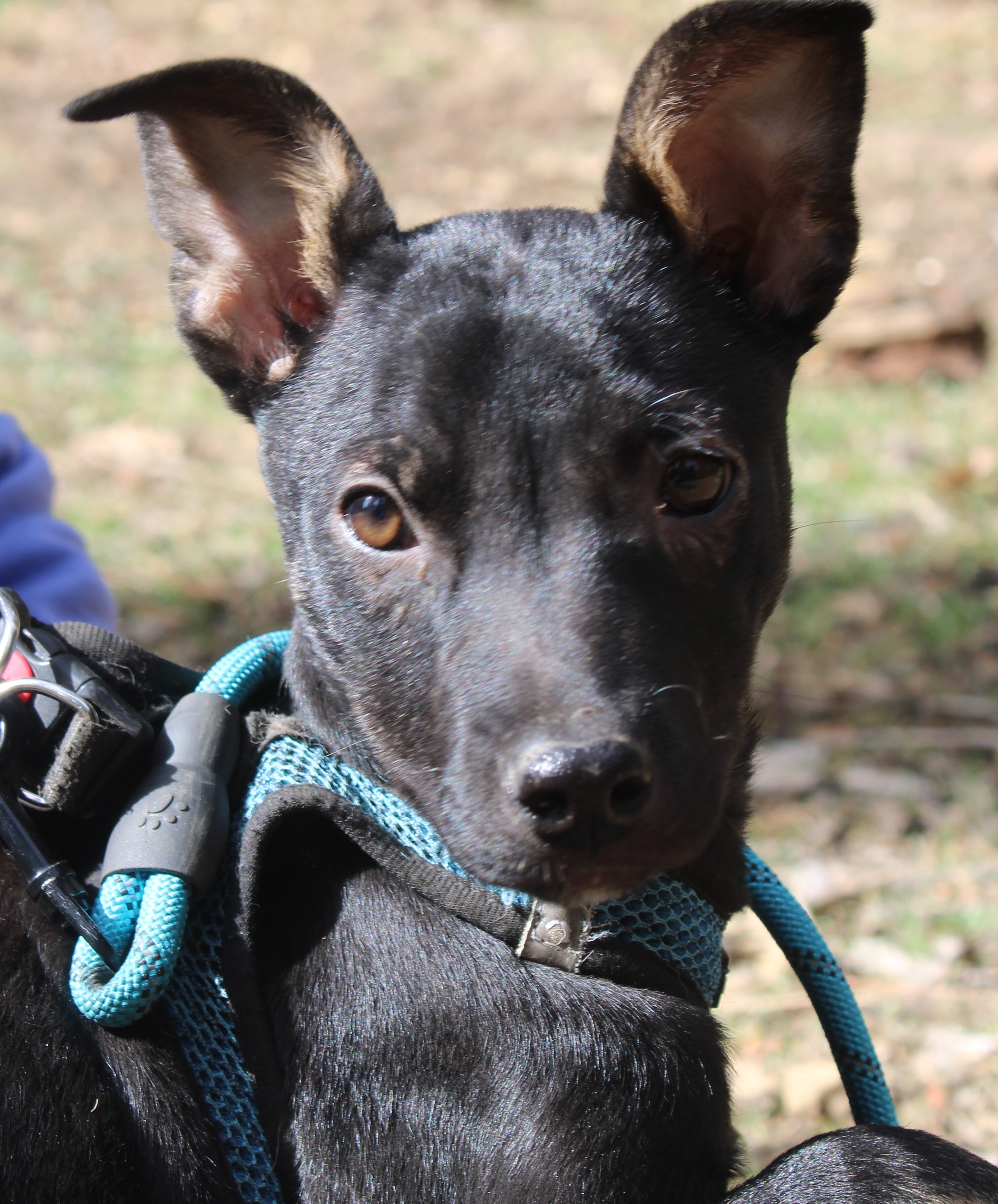 Selena ADOPTED!