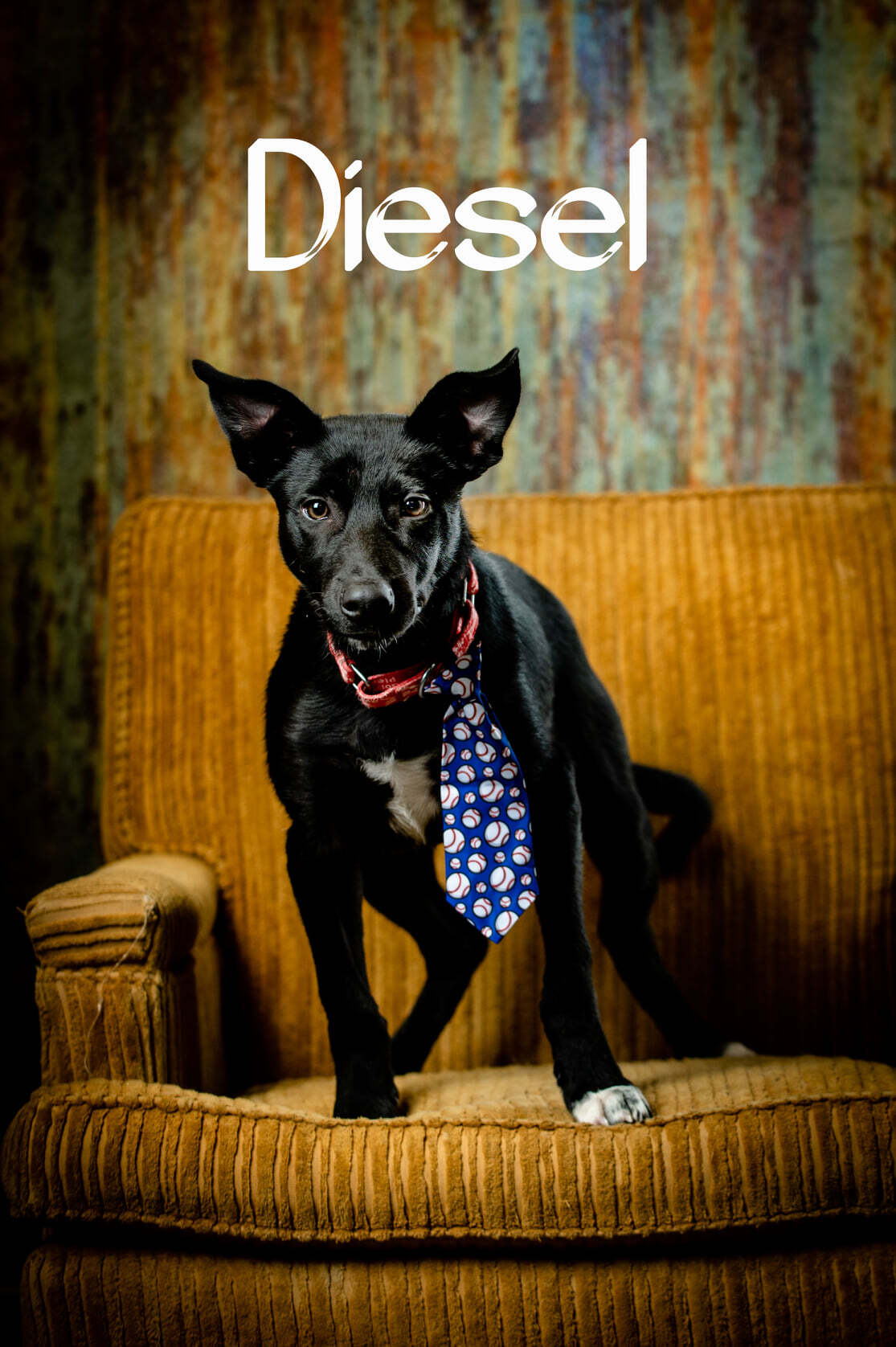 Diesel