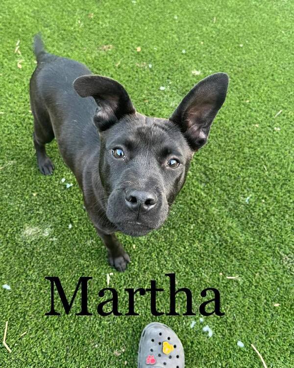 Martha