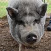 Martha photo 1