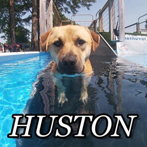 Huston