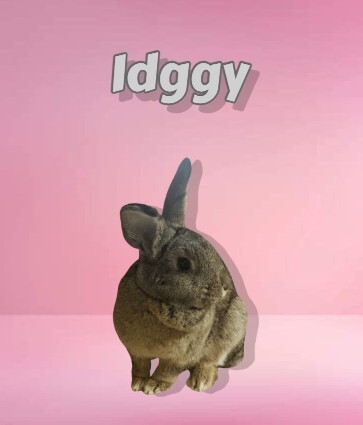 Idggy