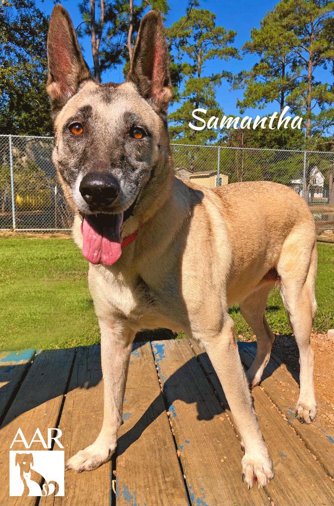 Sam (Samantha)