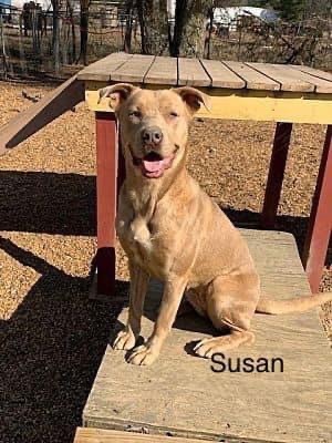 Susan 22