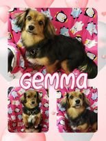 Gemma