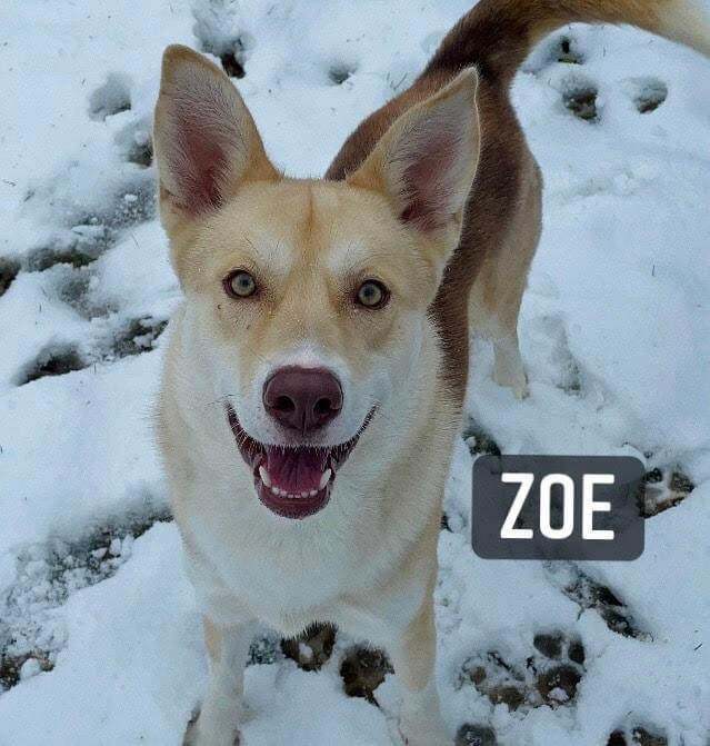 Zoe