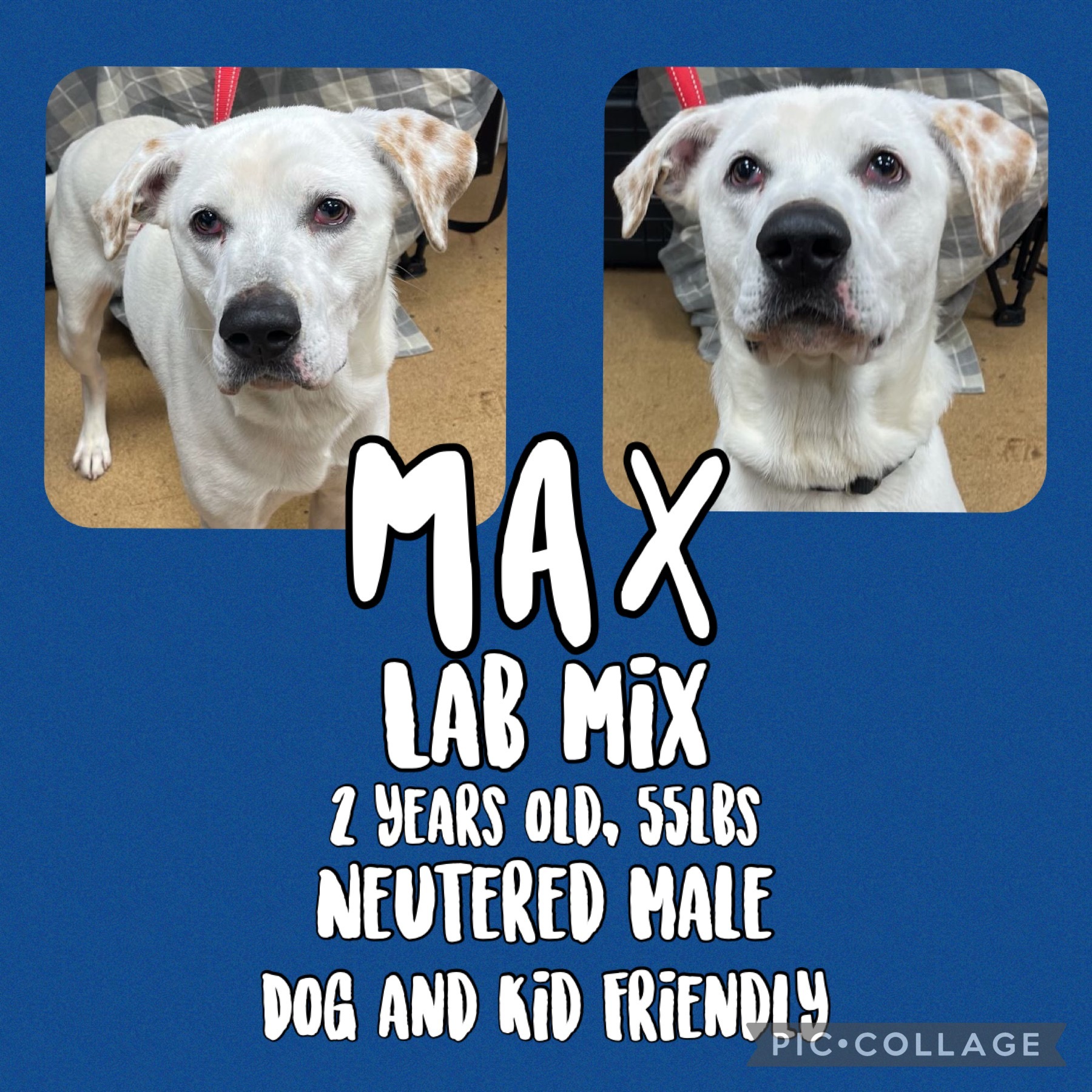 Max