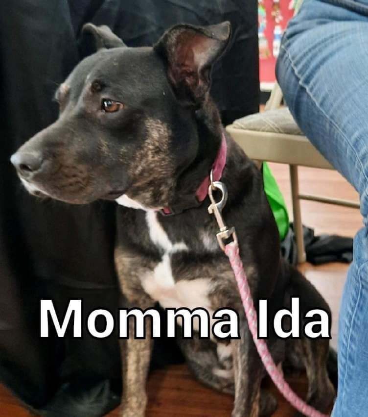 Momma Ida