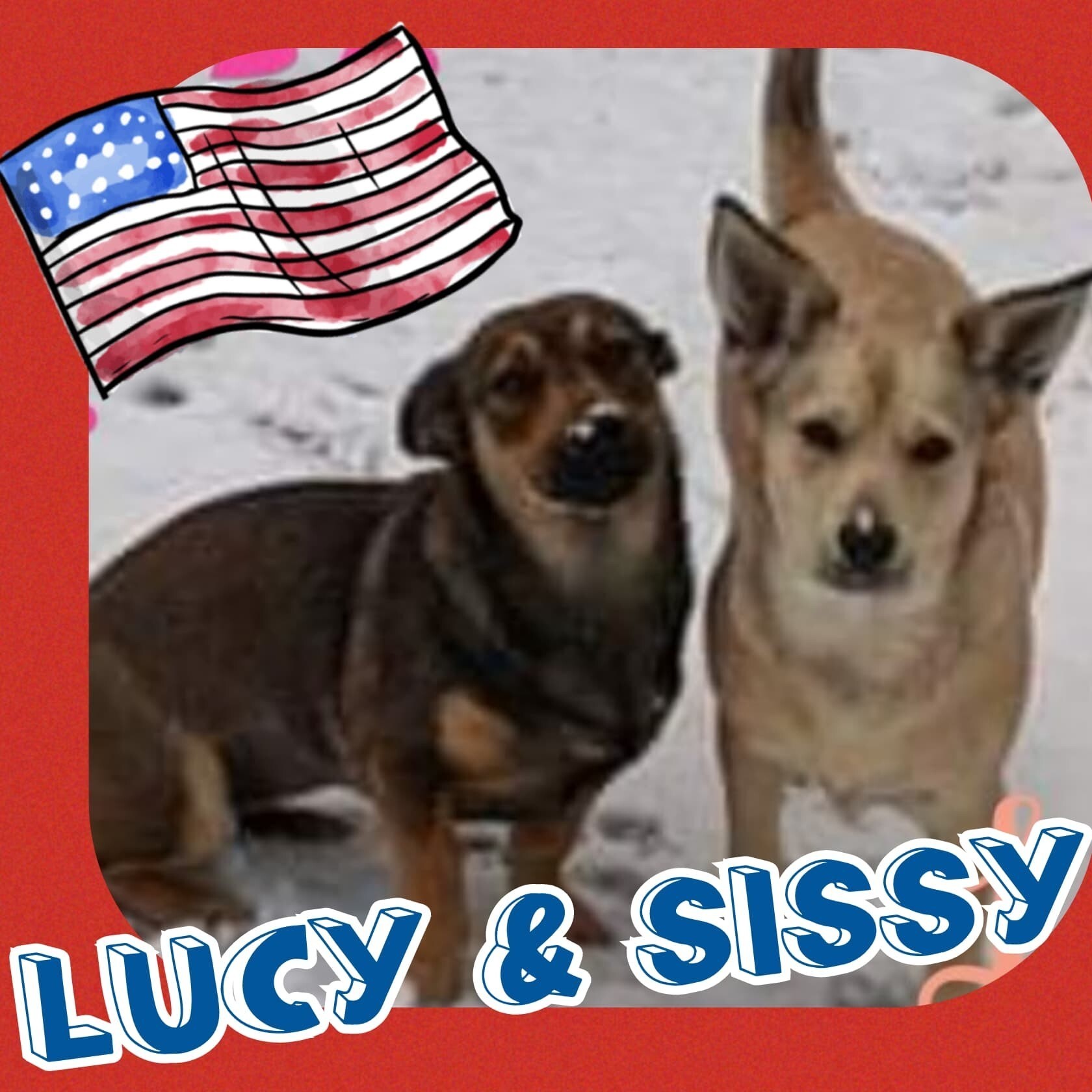 LUCY & SISSY (BONDED)