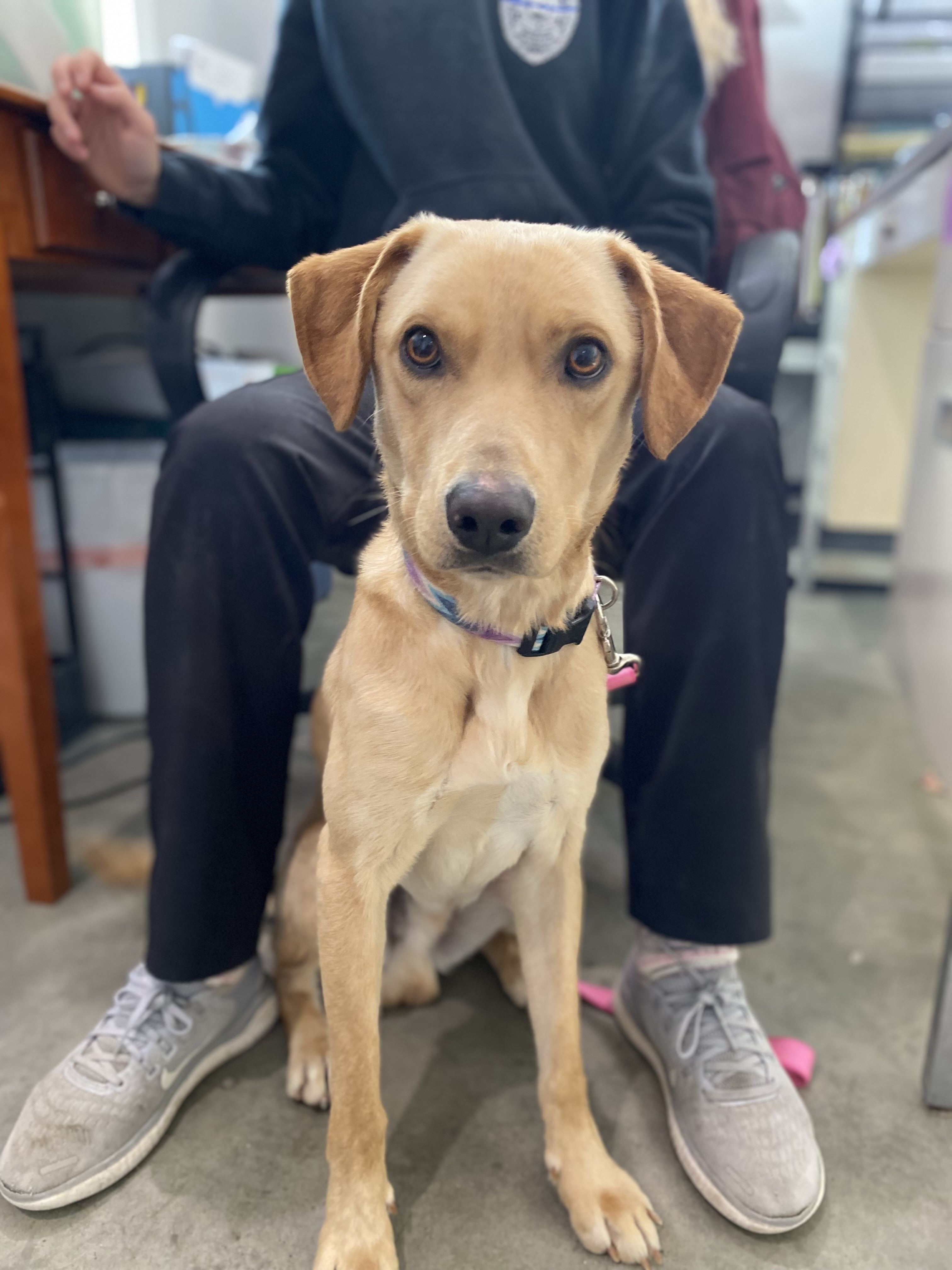 Max