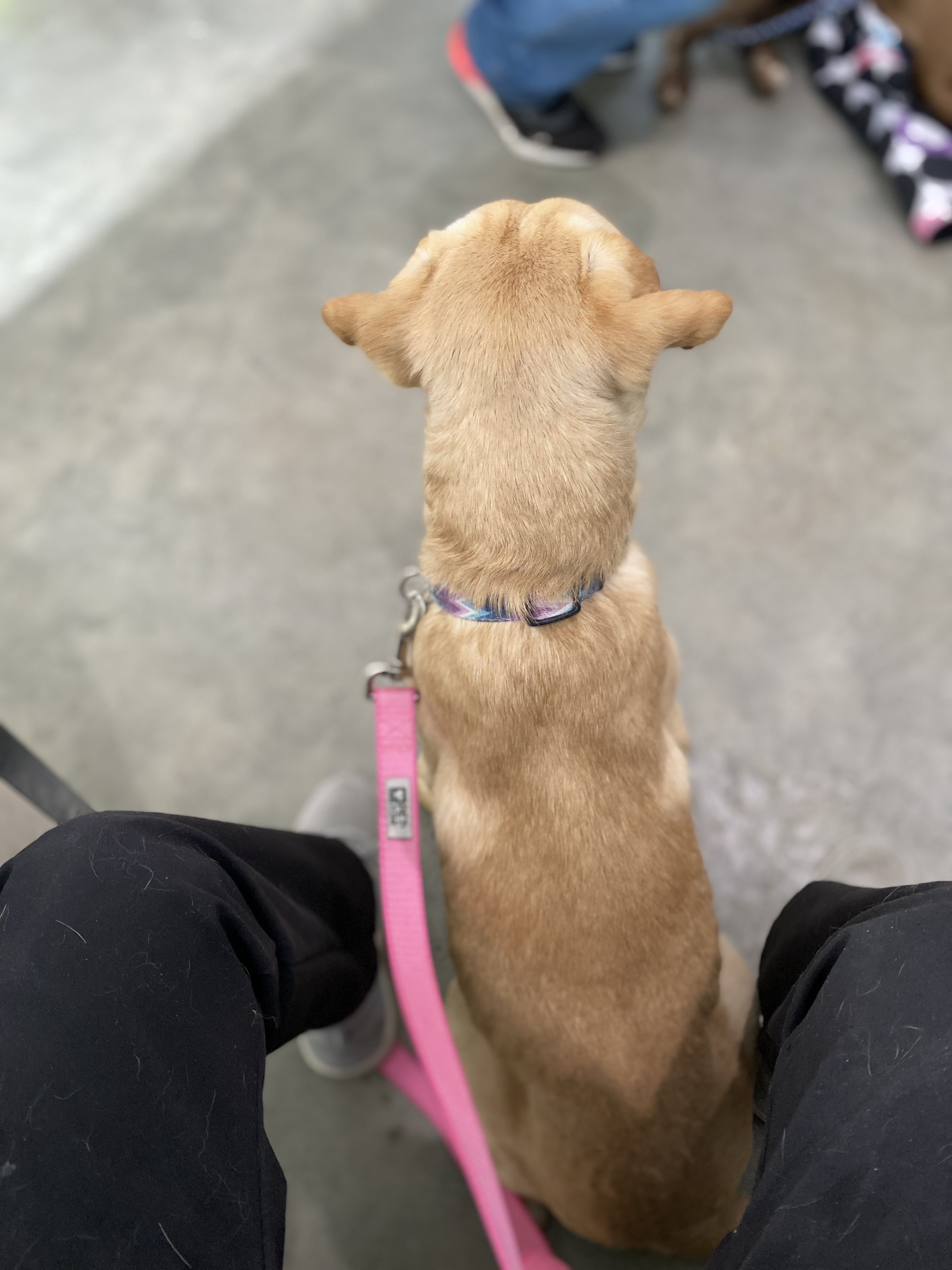 Max