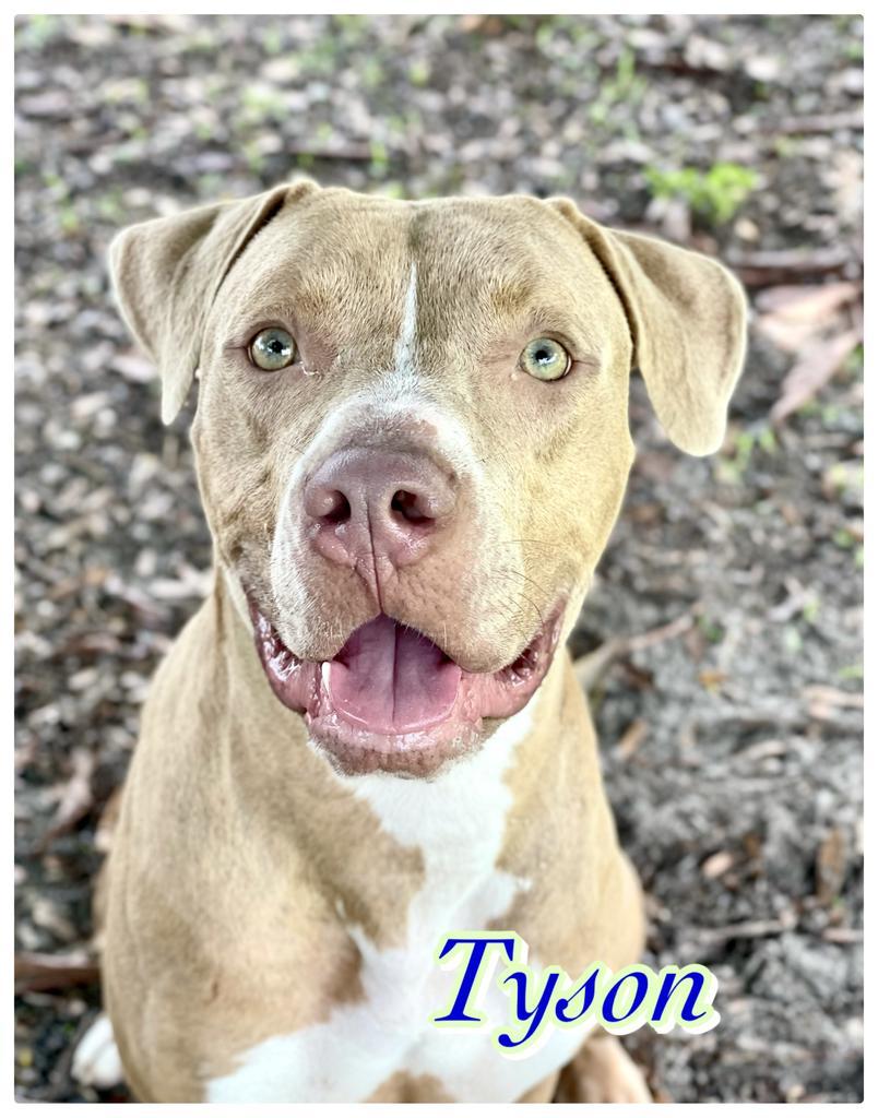 Tyson