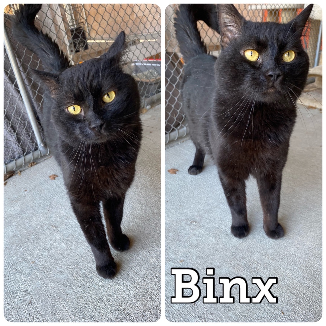 Binx detail page