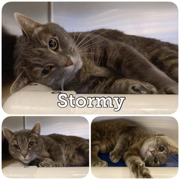 Stormy