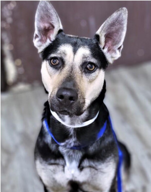 Valentine aka Cali