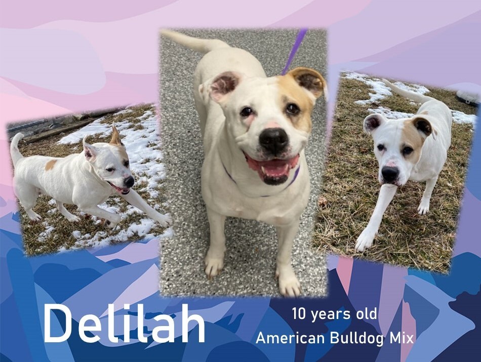 Delilah