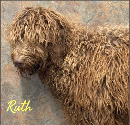 Ruth