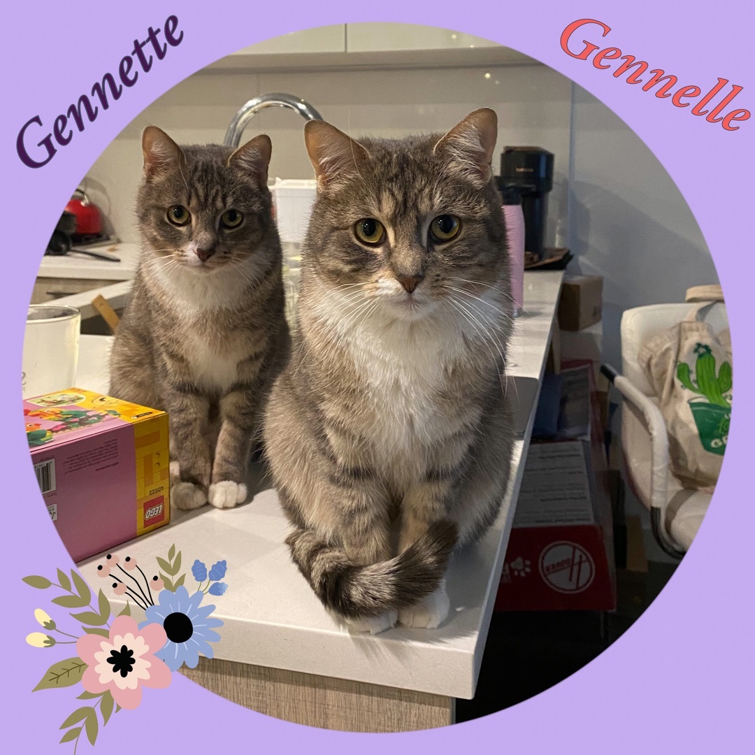 Gennette And Gennelle detail page