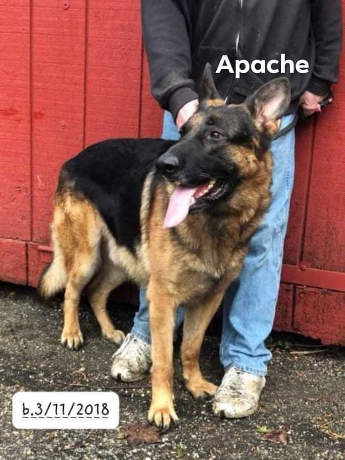 Apache ( a romantic)