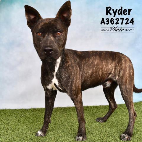 RYDER