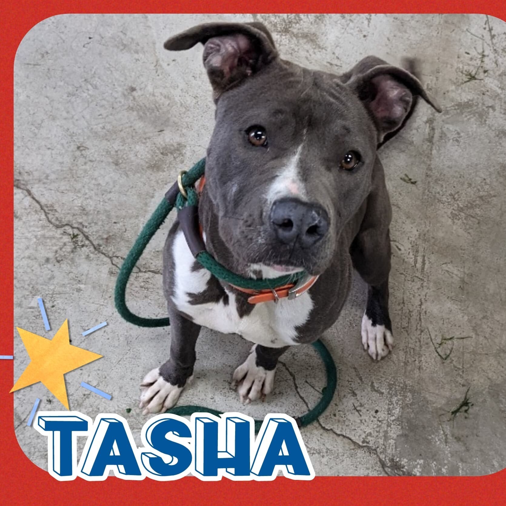 Tasha