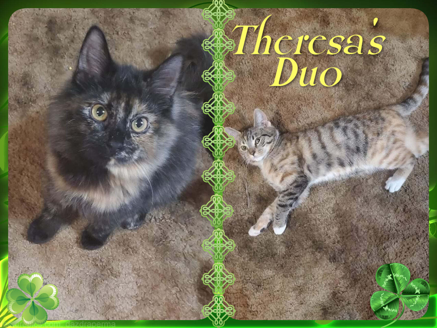 Theresa's Duo