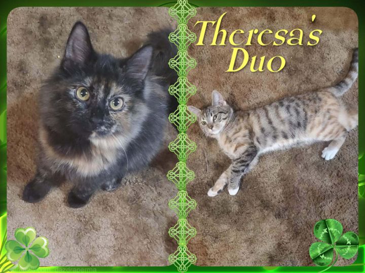 Theresa's Duo 1