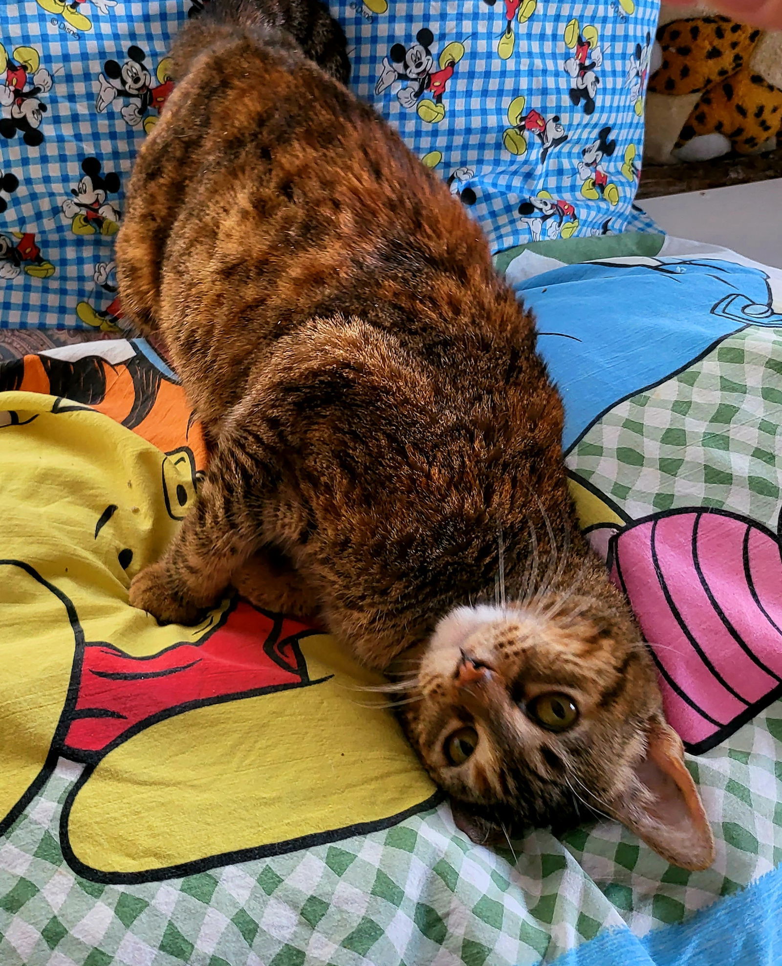 Honey