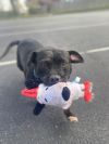 Maggie