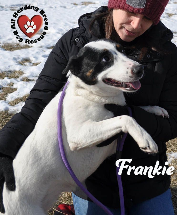 Frankie