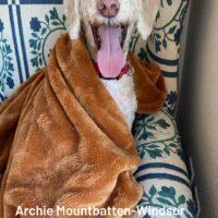 Archie Mountbatten-Windsor (#4696)