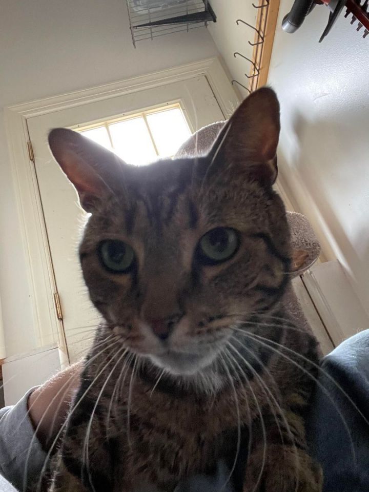 Fred (sibling to Branson) 5