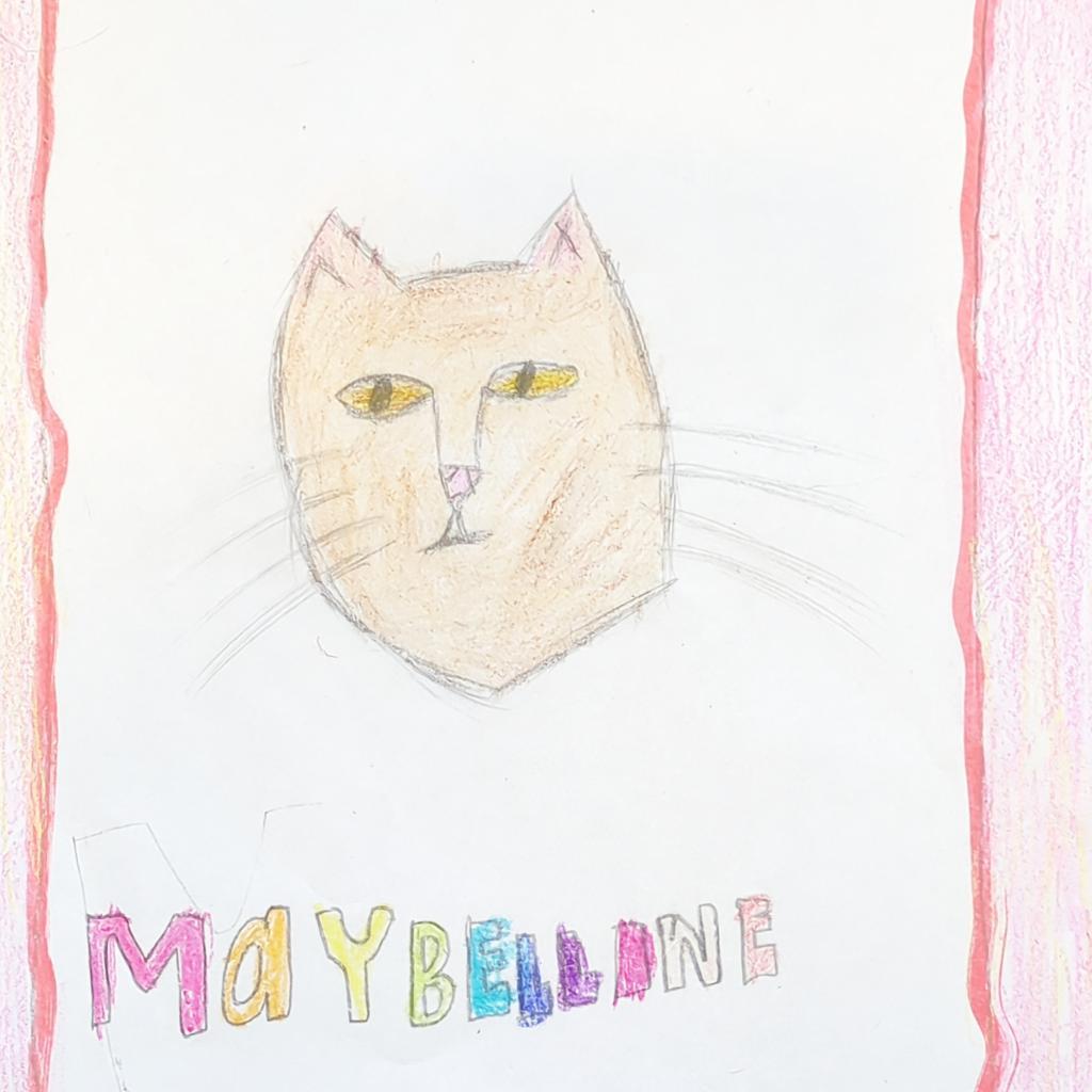 Maybelline, an adoptable Domestic Short Hair in Kanab, UT, 84741 | Photo Image 2