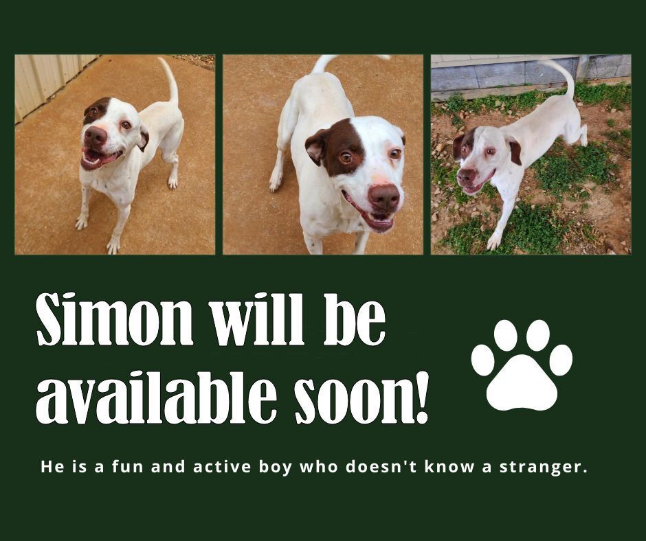 Simon (TN)