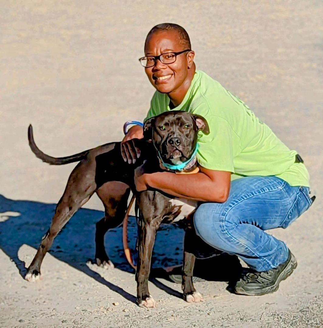 Rose, an adoptable Pit Bull Terrier in Pueblo, CO, 81001 | Photo Image 3