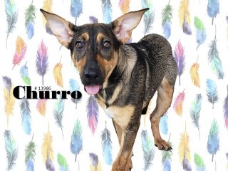 Churro