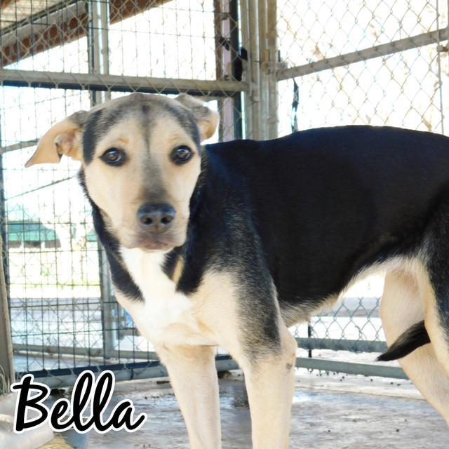 Bella Roo