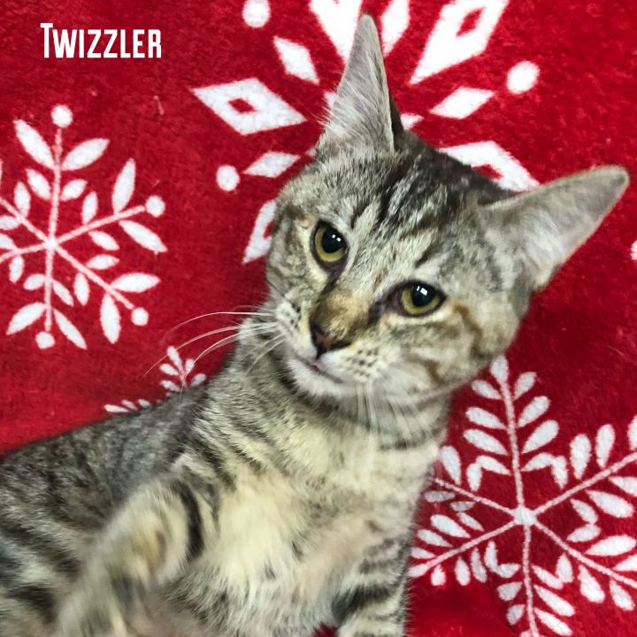 Twizzler 2