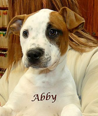 Abby