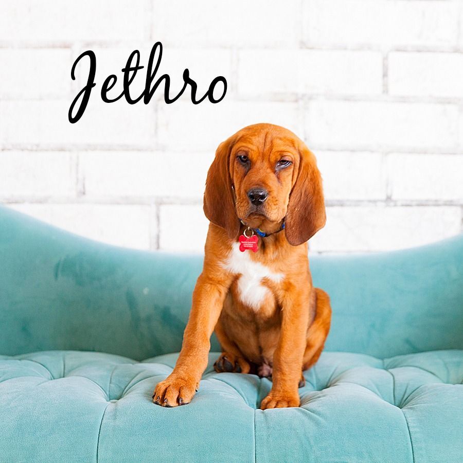 JETHRO