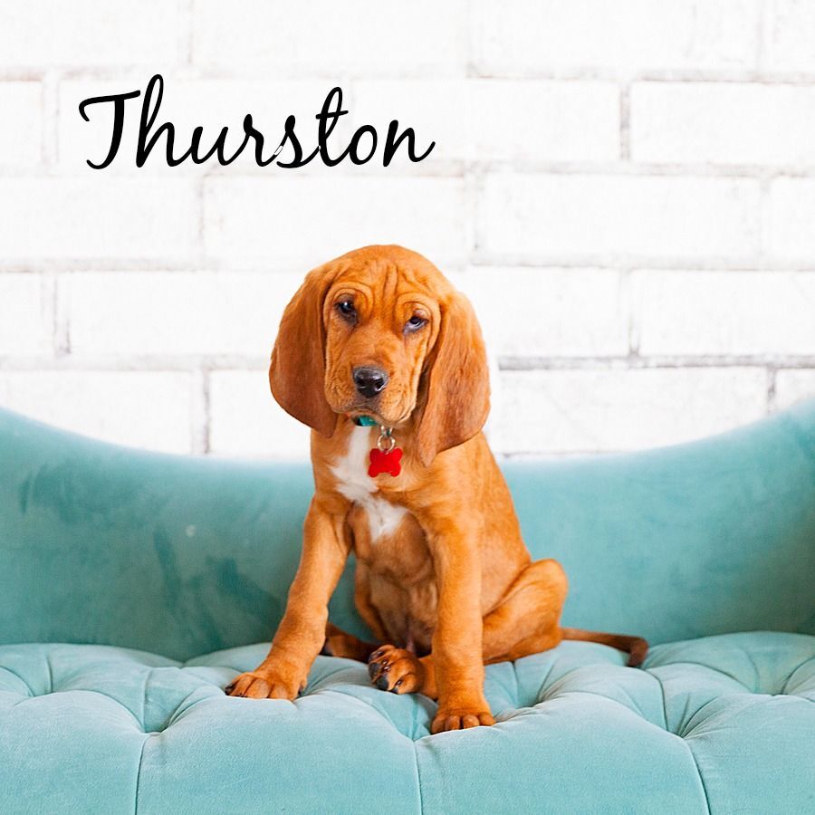 THURSTON