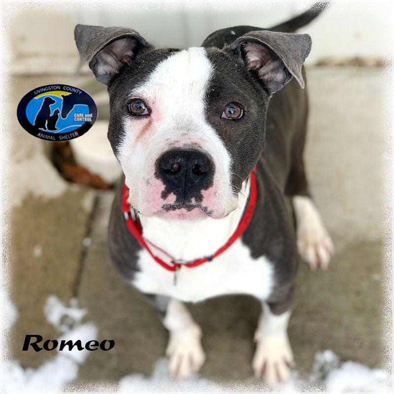 Romeo