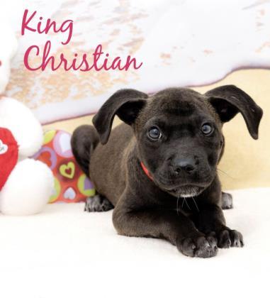 King Christian