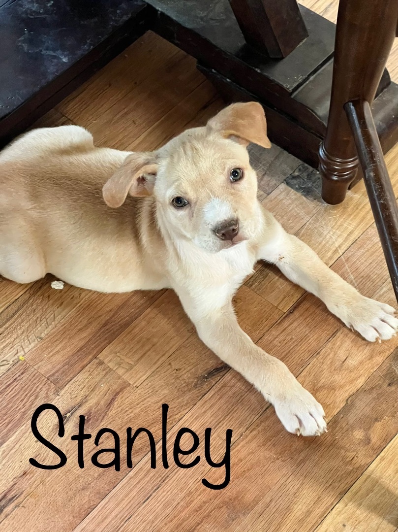 Stanley